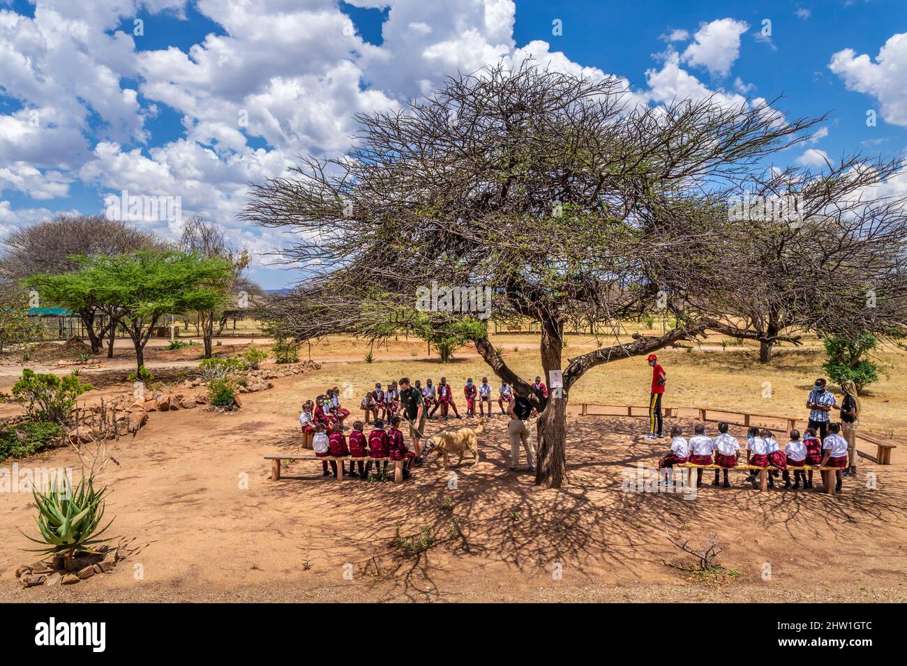 Namibia, regione di Otjozondjupa, Otjiwarongo, Cheetah Conservation Fund (CCF), presentazione di un pastore Anatoliano o Kangal (Anadolu ?oban k?pe&#x11f;i), cane di guardia per mandrie di capre e pecore, ad un gruppo scolastico Foto Stock