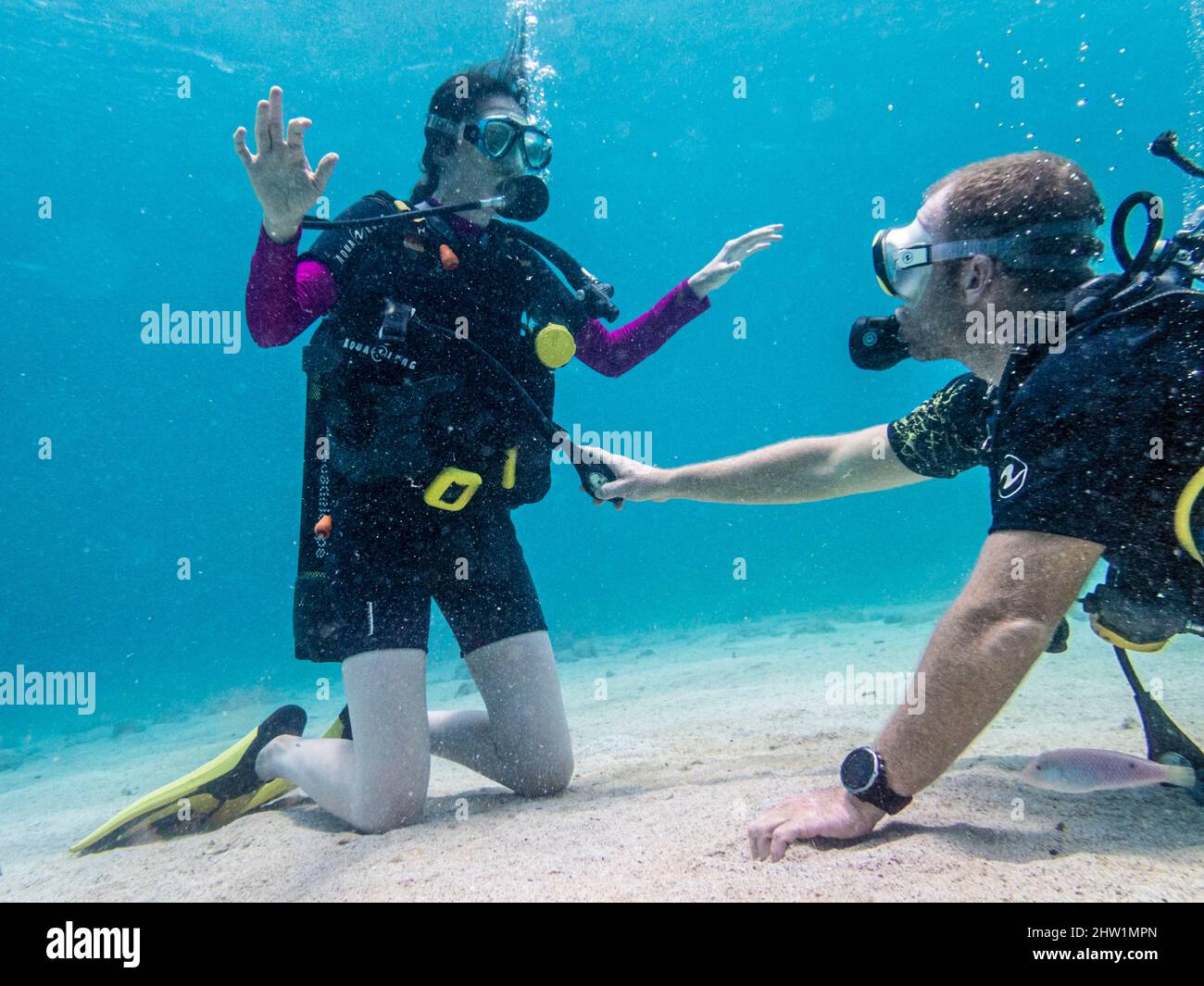 Francia, Caraibi, Antille francesi, Guadalupa, basse-Terre, Malendure, Cousteau Nature Reserve, Bathysmed scuba diving presso l'Atlantis club, che unisce la sofologia, respirazione consapevole, Zen e contemplazione sportiva Foto Stock