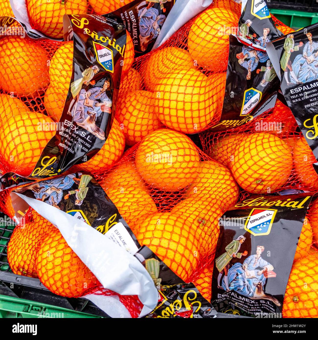 Epsom Surrey London UK, marzo 03 2022, Net Bags of Frech Juicy Oranges with No People Foto Stock