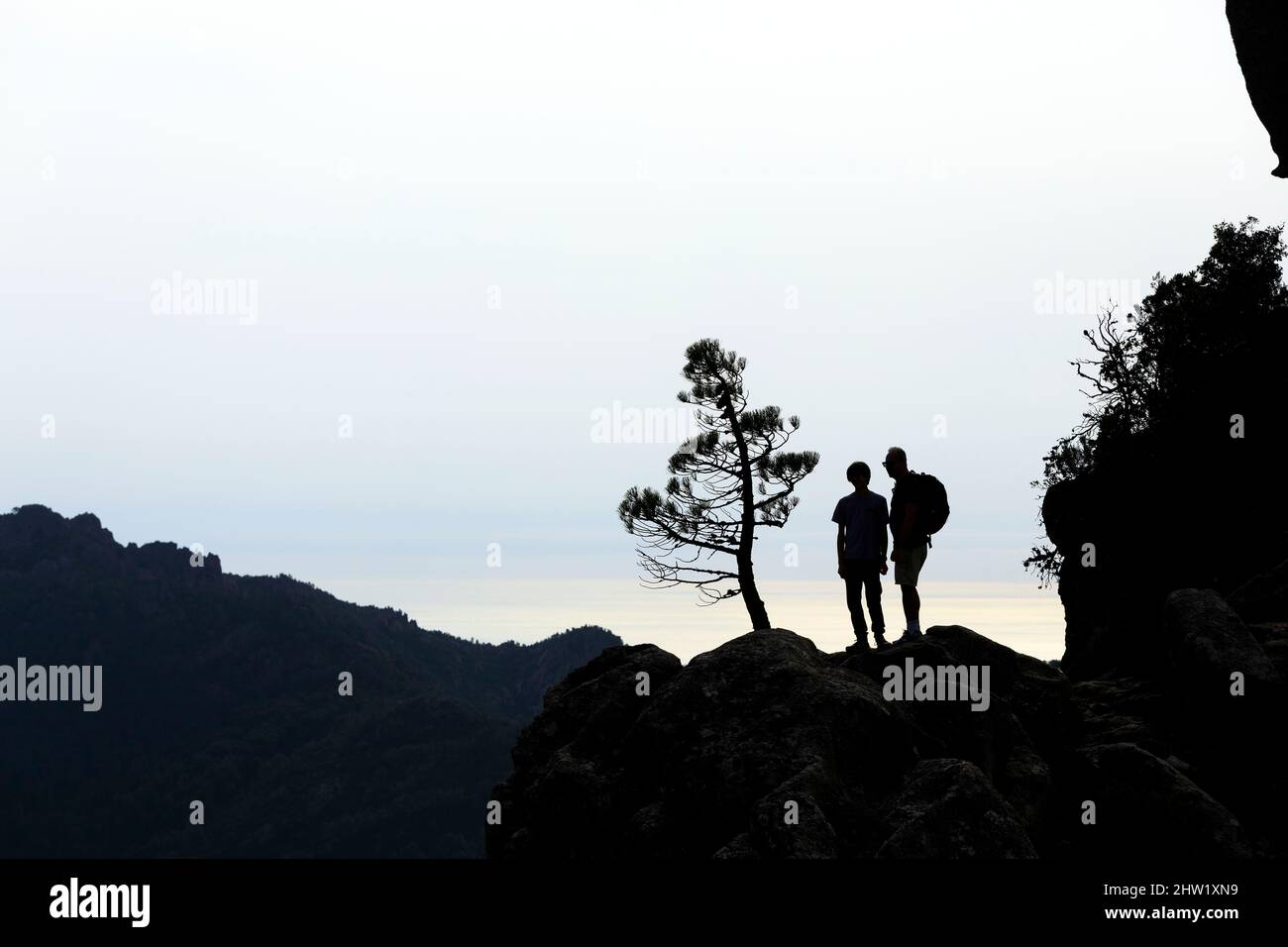 Francia, Corse du Sud, Parco Naturale Regionale della Corsica, Porto Vecchio, Foresta dell'Ospedale, passeggiata alla cascata Piscia di Gallu Foto Stock