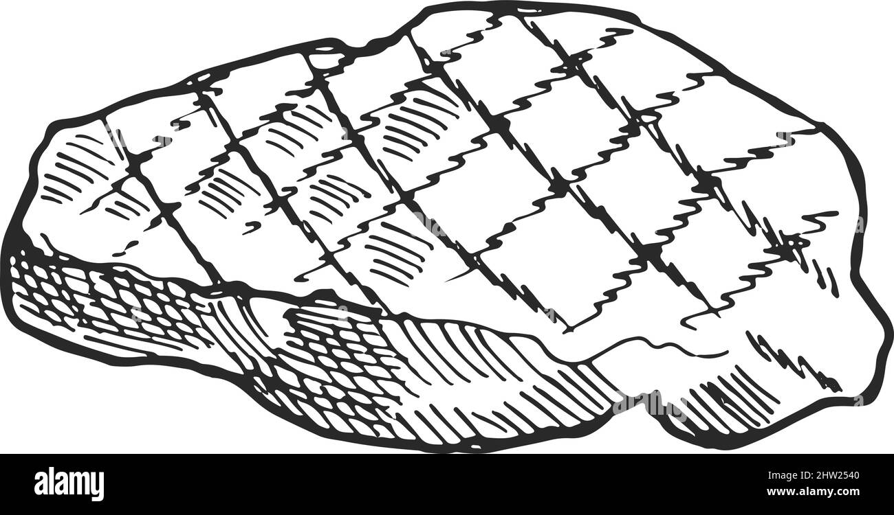 Schizzo di bistecca alla griglia. Taglio di carne arrosto trainato a mano Illustrazione Vettoriale