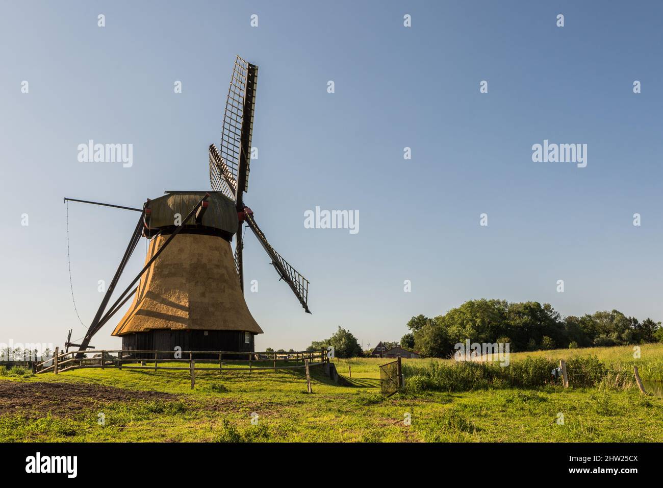 Wedelfelder Mill, Neustadtgoeden, Frisia orientale, bassa Sassonia, Germania Foto Stock