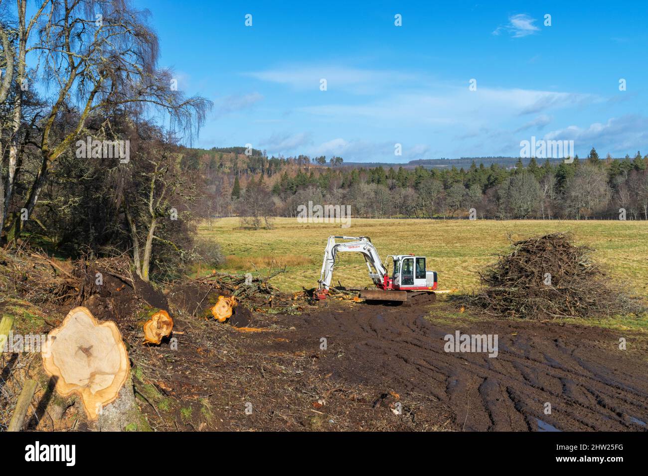 TAGLIO E SGOMBERO DI ALBERI E RAMI CADUTI CON UNA SEGA MECCANICA TAKEUCHI E UN ESCAVATORE CINGOLATO Foto Stock