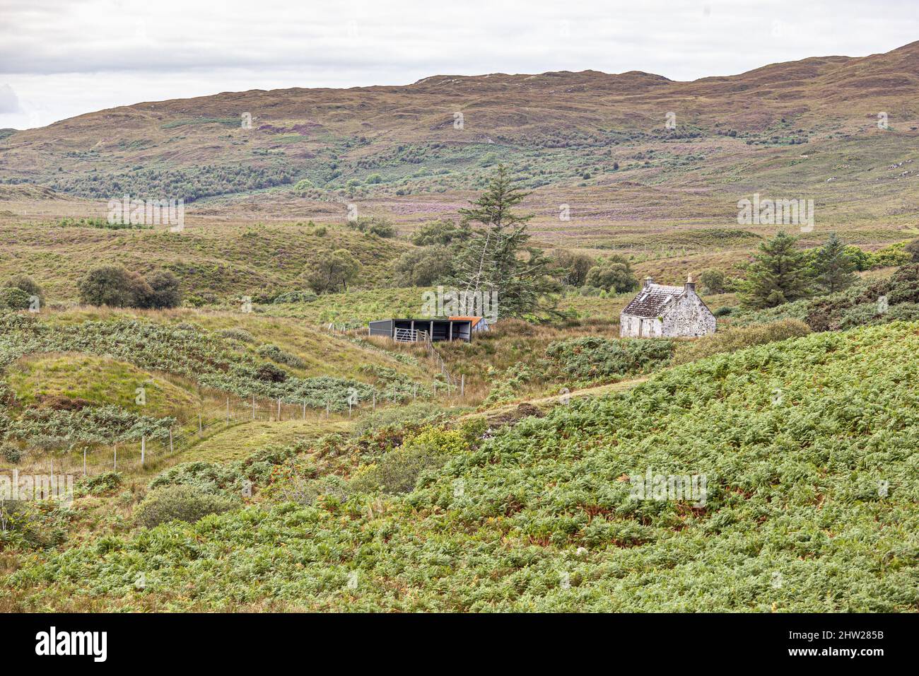 Un solitario remoto croft sulla penisola di Sleat nel sud dell'isola di Skye, Highland, Scozia Regno Unito Foto Stock