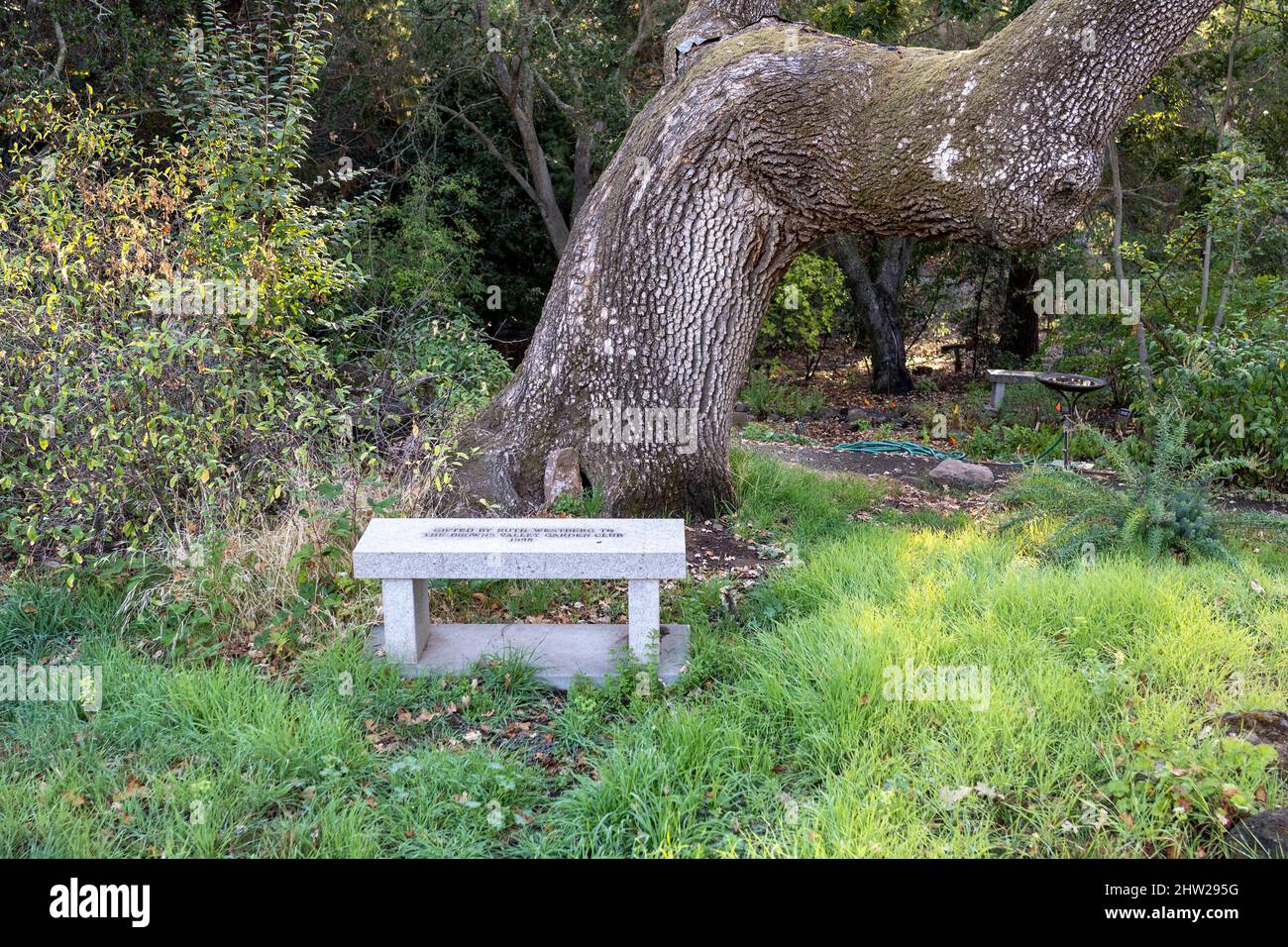 Napa, CA, USA, 19 settembre 2021. Panchina presso il Martha Walker Garden presso lo Skyline Wilderness Park. Foto Stock