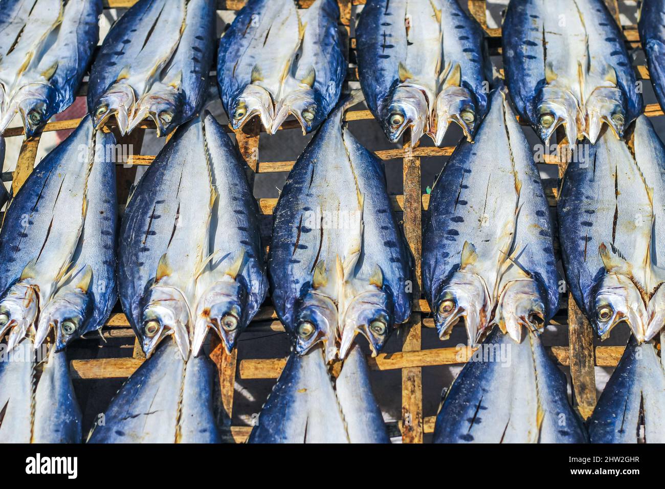 Industria della pesca del pesce immagini e fotografie stock ad alta  risoluzione - Alamy