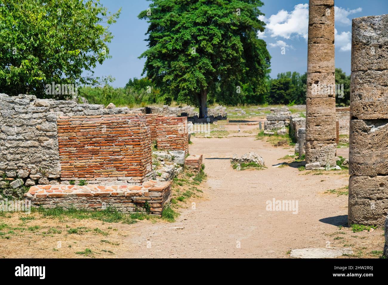 Antiche rovine greche di PAESTUM famoso sito UNESCO in provincia di Salerno, Campania, Italia Foto Stock