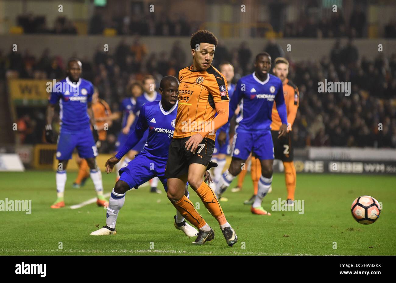 Helda Costa dei lupi. Wolverhampton Wanderers / Chelsea a Molineux 18/02/2017 - Emirates fa Cup 5th round Foto Stock