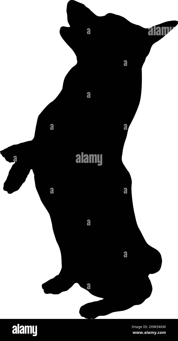 Silhouette nera per cani. Pembroke cucciolo di corgi gallese è in piedi sulle sue gambe posteriori. Animali domestici. Isolato su sfondo bianco. Illustrazione vettoriale. Illustrazione Vettoriale