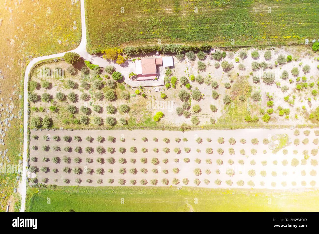 Casa privata di trama e piantando alberi fruttiferi Foto Stock