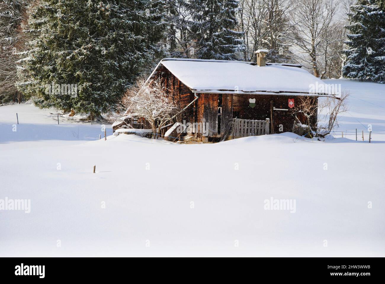 Chalet in mezzo al campo da neve nella montagna sopra Villars-sur-Ollon nelle Alpi Suisse Foto Stock