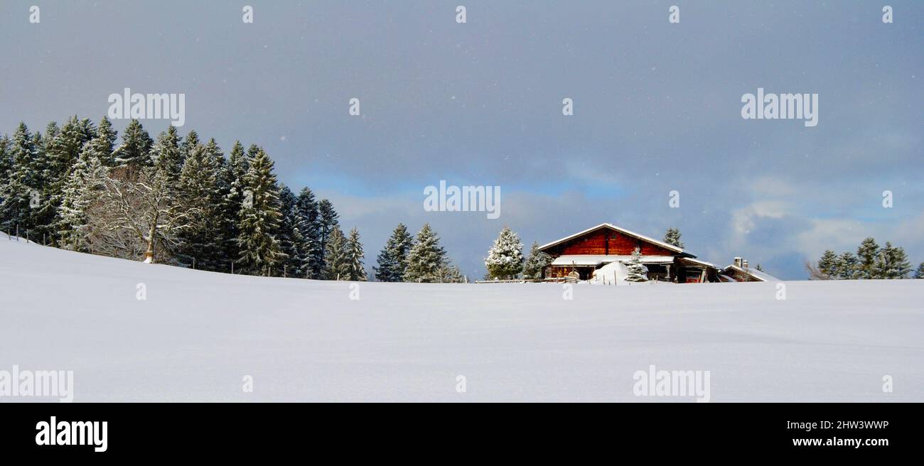 Chalet in mezzo al campo da neve nella montagna sopra Villars-sur-Ollon nelle Alpi Suisse Foto Stock