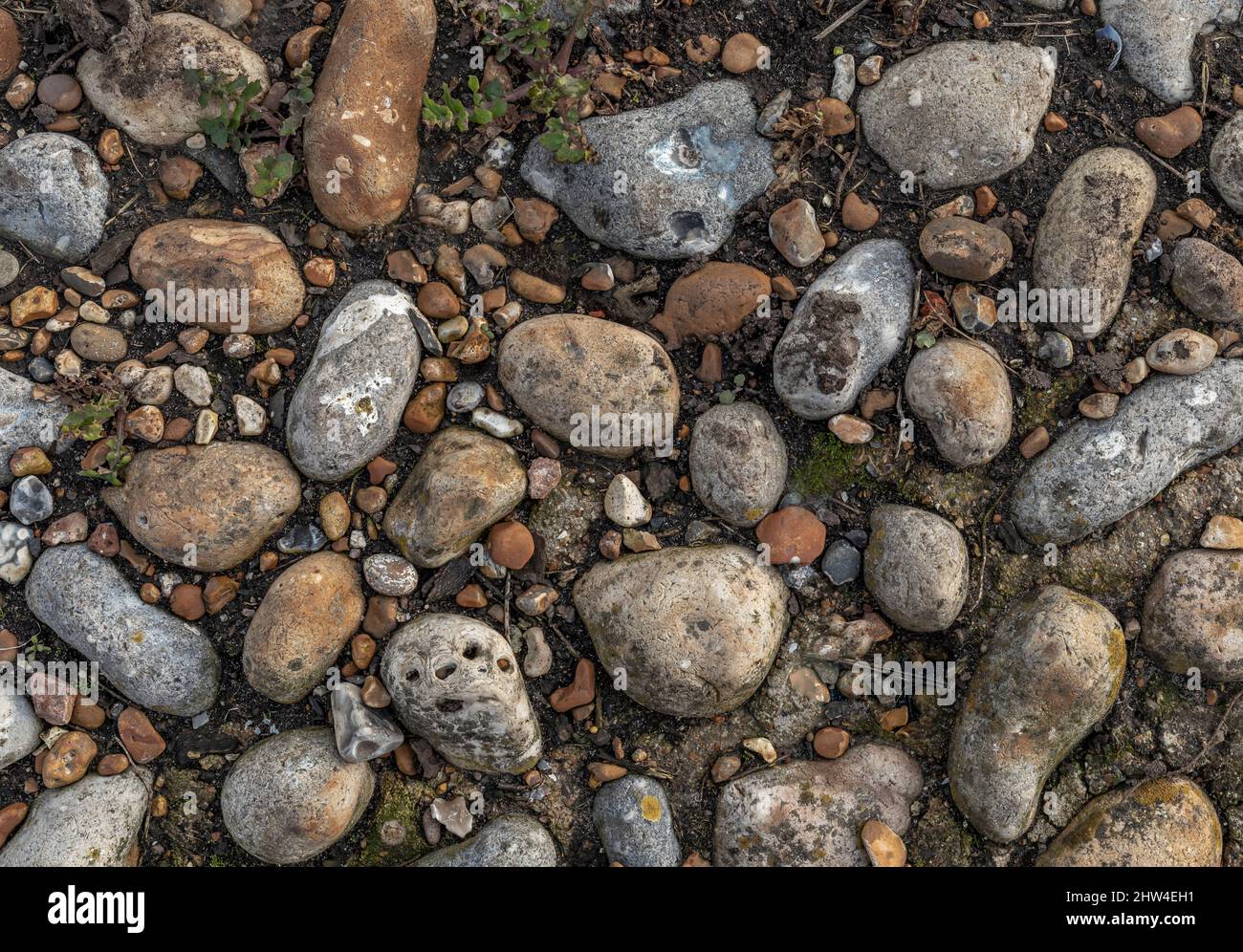 Pietra grande e piccola in un patter casuale bloccato nella terra con qualche fogliame verde e suolo Foto Stock