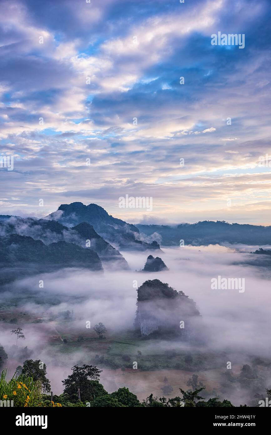 Paesaggio di Mist mattina con strato di montagna al Parco Nazionale di Phu Lanka, provincia di Phayao, a nord della Thailandia. Foto Stock