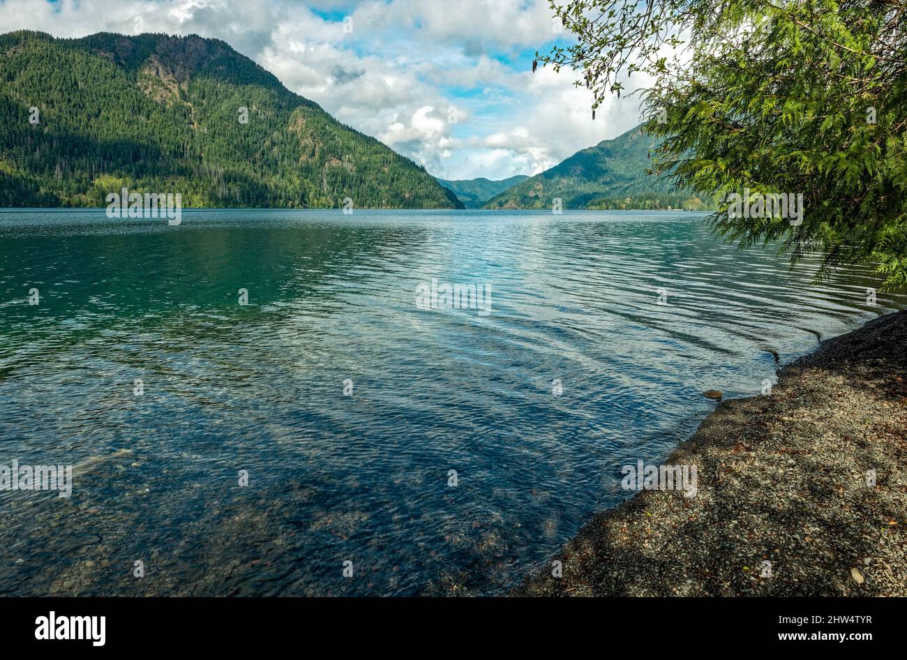 La costa del lago Crescent nell'Olympic National Park di Washington, USA Foto Stock