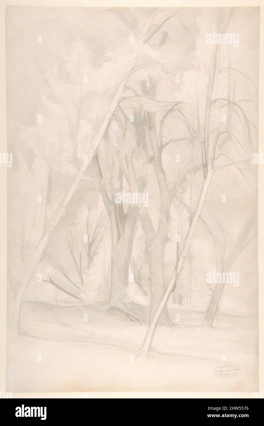 Art Inspired by Forest Interior, 1835–1916, grafite, 16 7/8 x 11 poll. (42,9 x 28 cm), disegni, Henri-Joseph Harpignies (francese, Valenciennes 1819–1916 Saint-Privé, opere classiche modernizzate da Artotop con un tuffo di modernità. Forme, colore e valore, impatto visivo accattivante sulle emozioni artistiche attraverso la libertà delle opere d'arte in modo contemporaneo. Un messaggio senza tempo che persegue una nuova direzione selvaggiamente creativa. Artisti che si rivolgono al supporto digitale e creano l'NFT Artotop Foto Stock