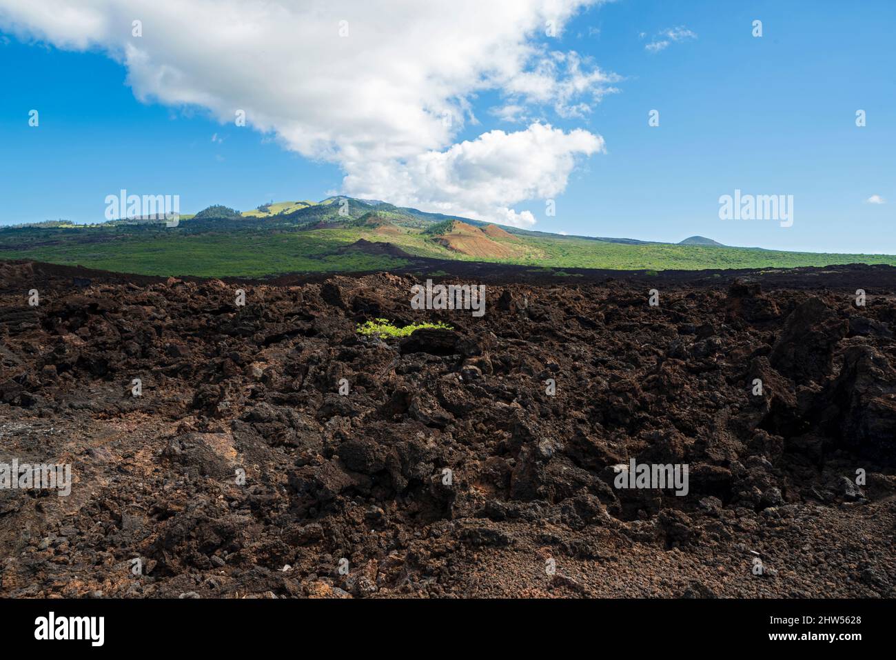 campo di lava e montagna lungo il sentiero hoapili al largo della baia di la perouse di maui meridionale Foto Stock