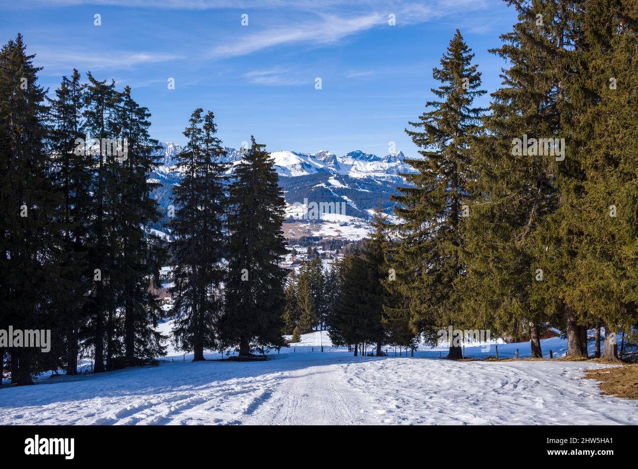 Questa foto di paesaggio è stata scattata in Europa, in Francia, Rhone Alpes, in Savoia, nelle Alpi, in inverno. Vediamo che gli alberi nascondono la Chaine des Aravis Foto Stock