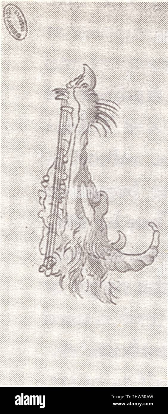 LEONARDO DA VINCI. STRUMENTO Foto Stock