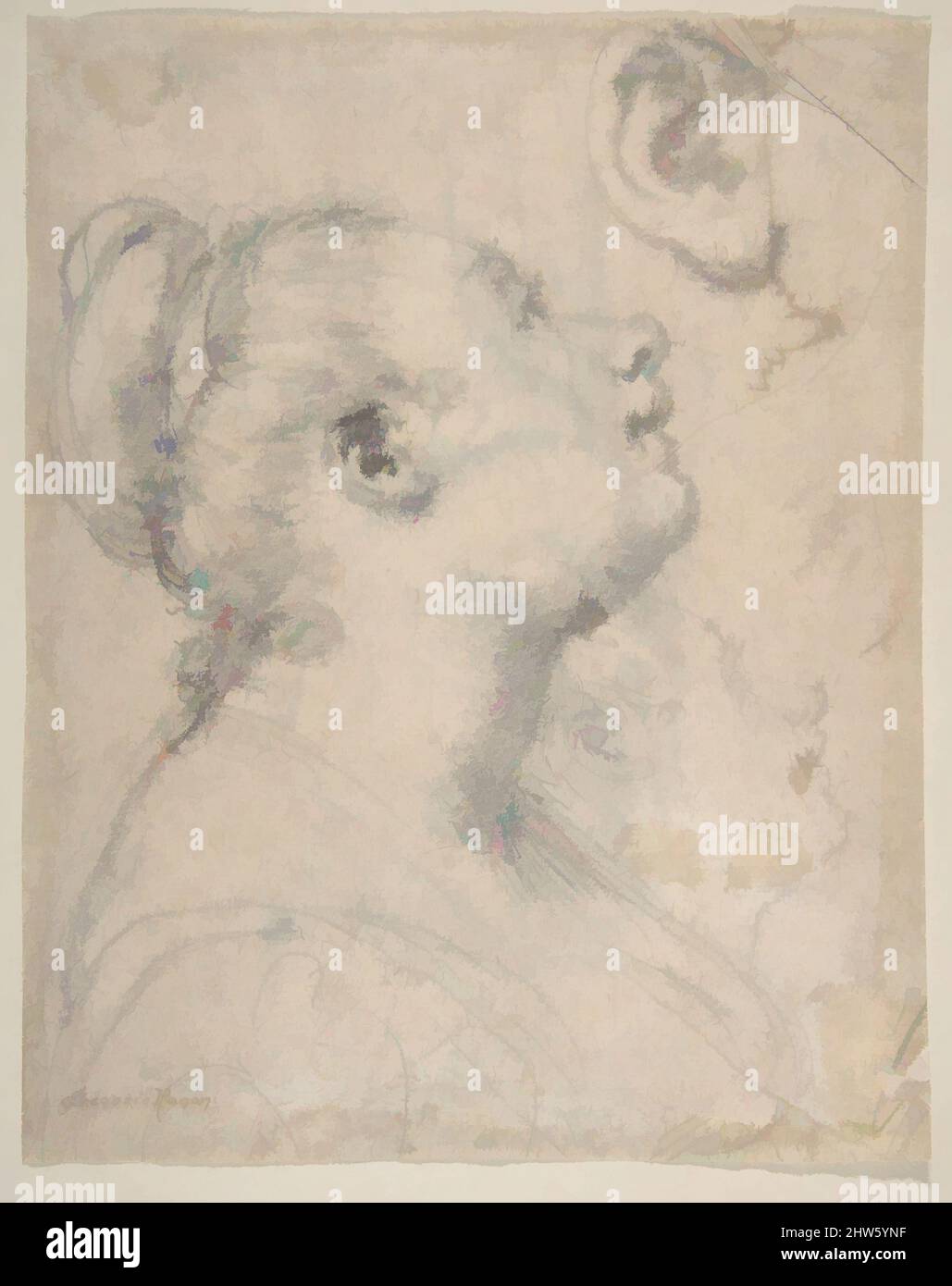 arte-ispirata-dalla-testa-e-le-spalle-di-una-donna-in-profilo-studi