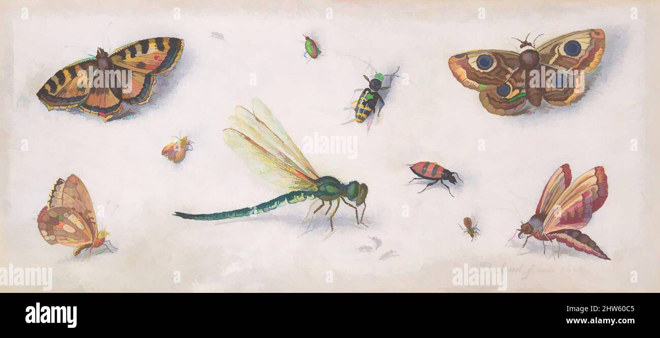 Arte ispirata da insetti, farfalle, e una Dragonfly, 17th secolo, gesso nero, acquerello e gouache su pergamena, foglio: 4 1/4 x 9 1/2 poll. (10,8 x 24,1 cm), disegni, Jan van Kessel (Fiammingo, 1626–1679, opere classiche modernizzate da Artotop con un tocco di modernità. Forme, colore e valore, impatto visivo accattivante sulle emozioni artistiche attraverso la libertà delle opere d'arte in modo contemporaneo. Un messaggio senza tempo che persegue una nuova direzione selvaggiamente creativa. Artisti che si rivolgono al supporto digitale e creano l'NFT Artotop Foto Stock