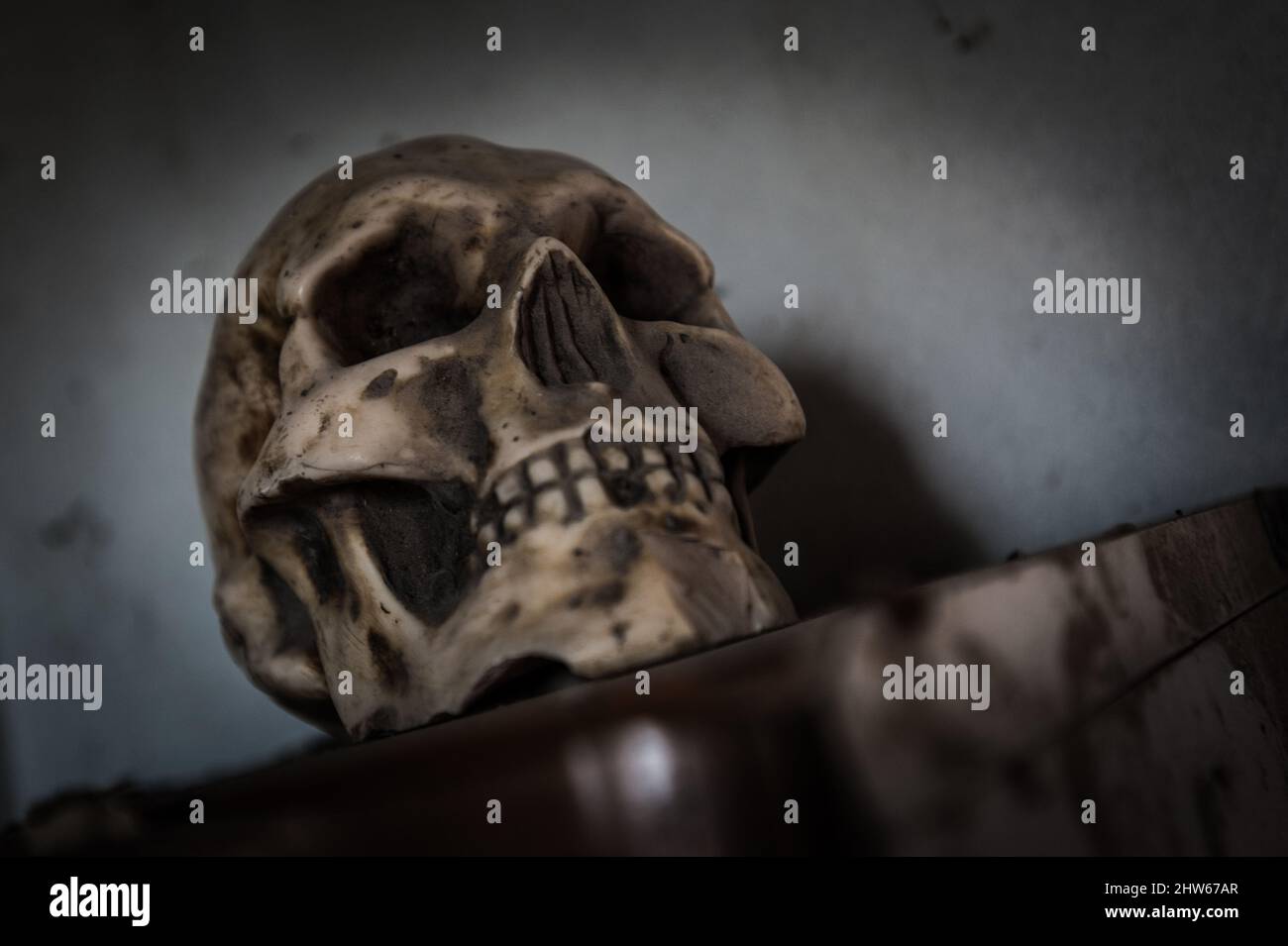 Novembre 2021, Urbex Italia, cranio macabre creepy, abbandonato su una davanzale Foto Stock