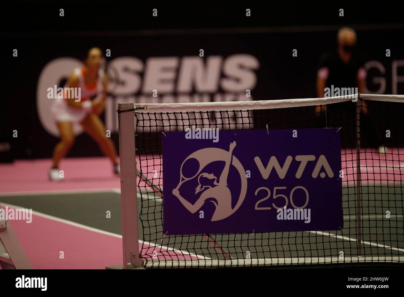 Illustrazione logo WTA 250 durante l'Open 6ème Sens, Métropole de Lyon 2022, WTA 250 torneo di tennis il 3 marzo 2022 al Palais des Sports de Gerland di Lione, Francia - Foto Romain Biard / Isports / DPPI Foto Stock