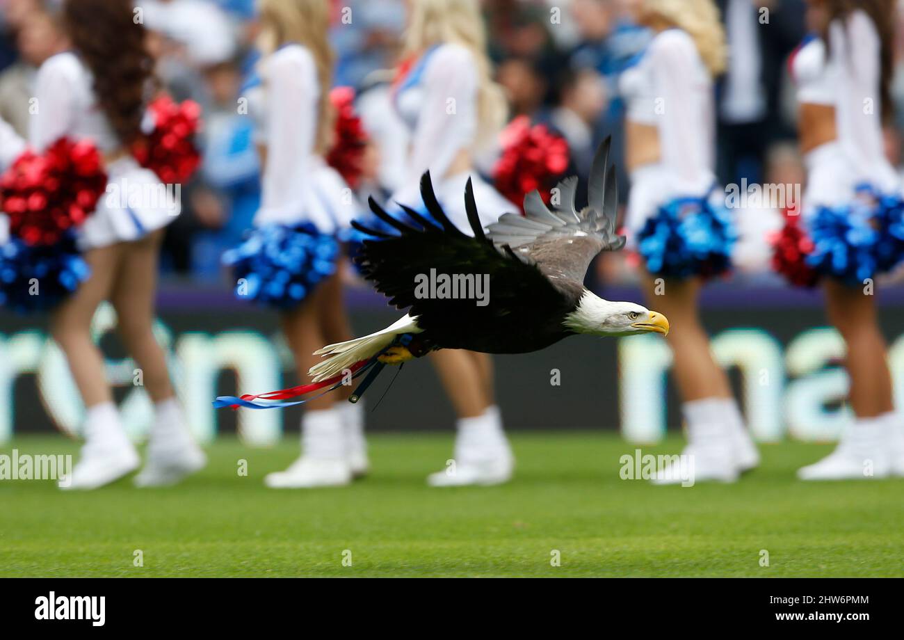 La mascotte Crystal Palace Kayla l'aquila Bald nordamericana è vista prima della partita della Barclays Premier League tra il Crystal Palace e l'Arsenal al Selhurst Park di Londra. Agosto 16, 2015. James Boardman / Telefoto Images +44 7967 642437 Foto Stock