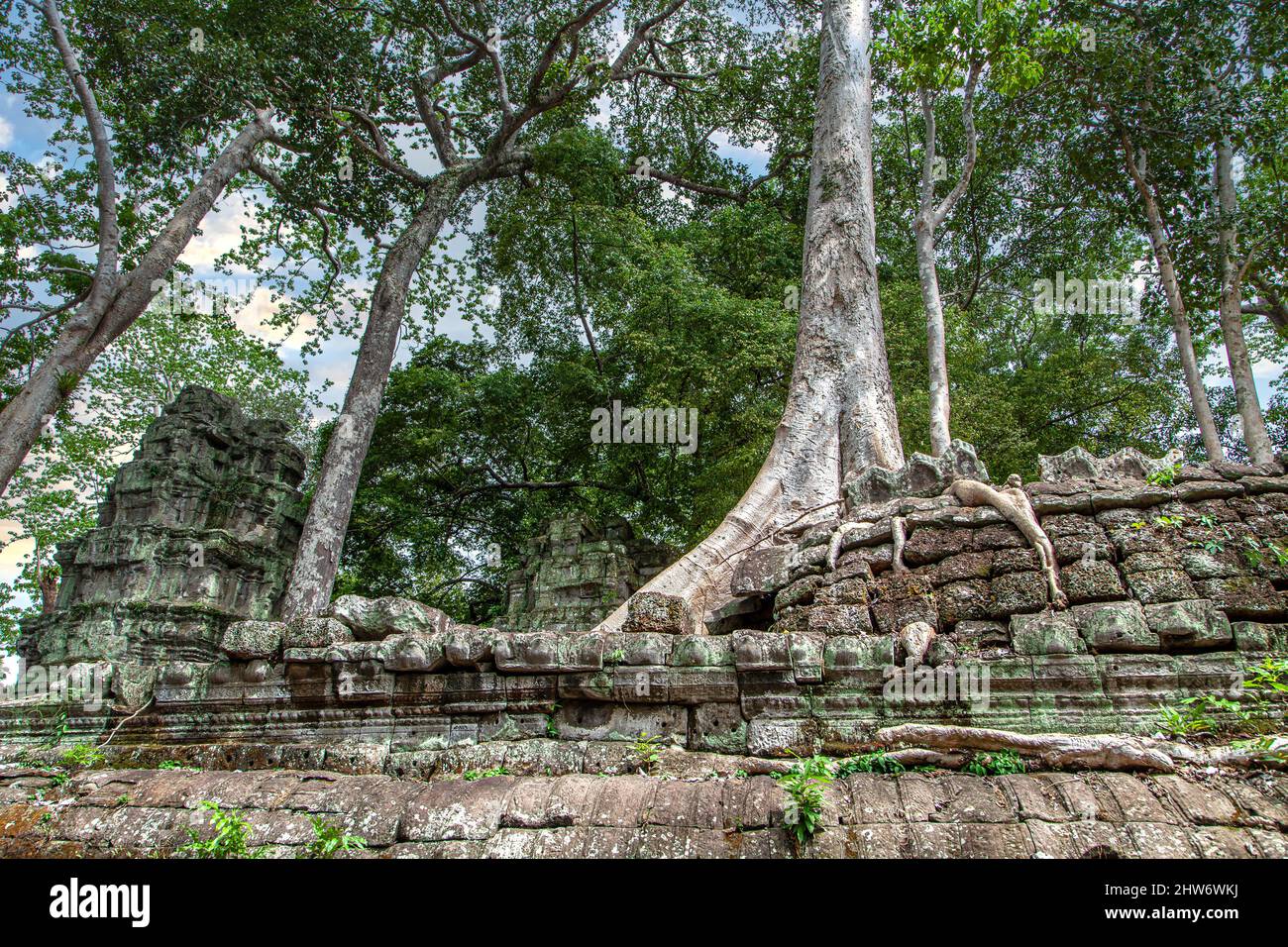 Antica architettura Khmer, Ta Prohm rovine del tempio nascosto nella giungla in Siem Reap, Cambogia. TA Prohm è un tempio nella giungla di Angkor. Foto Stock