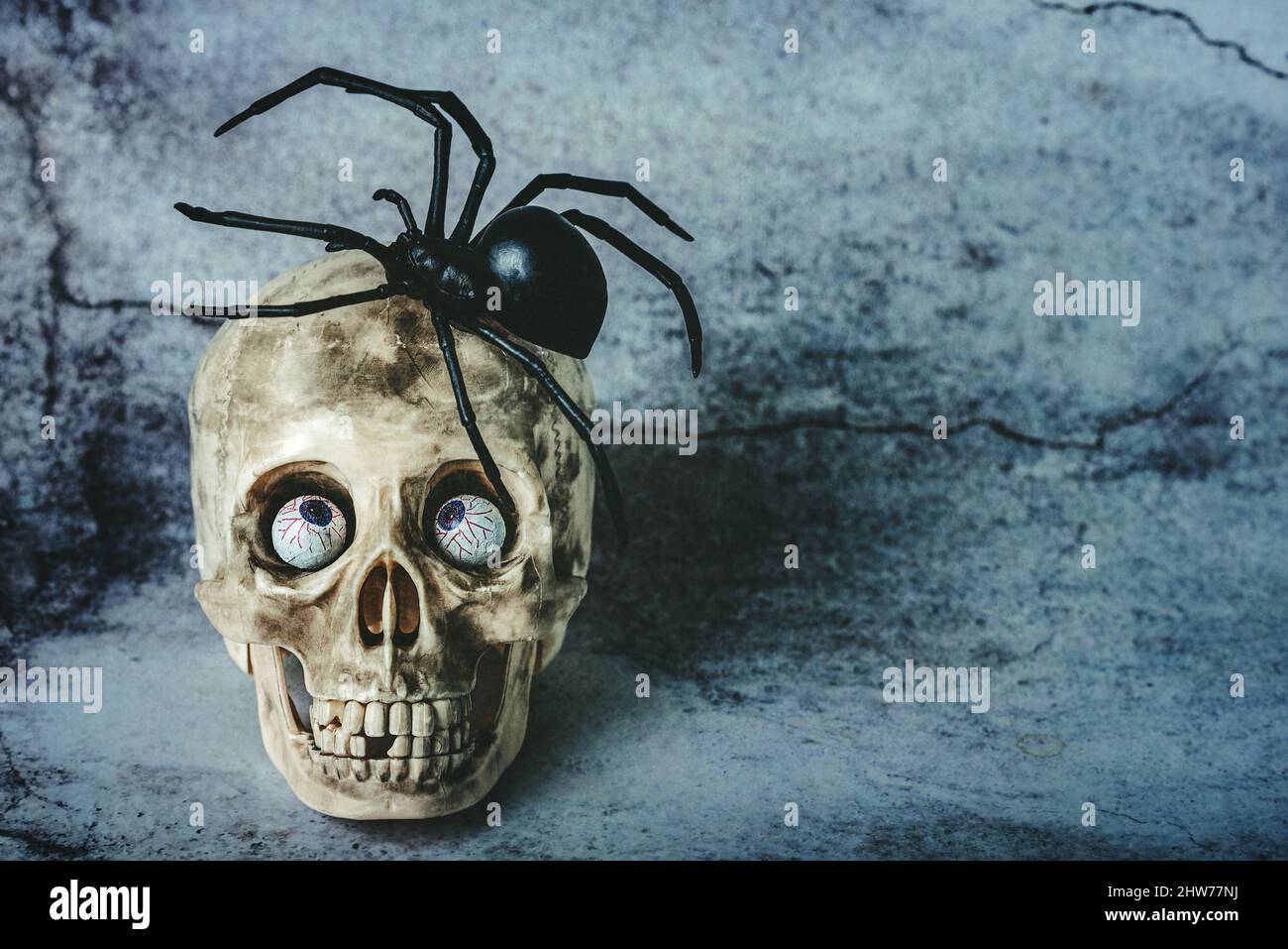 Halloween concetto di fondo. Divertente teschio di Halloween con occhi di cioccolato e un ragno in cima con spazio copia su sfondo grunge Foto Stock