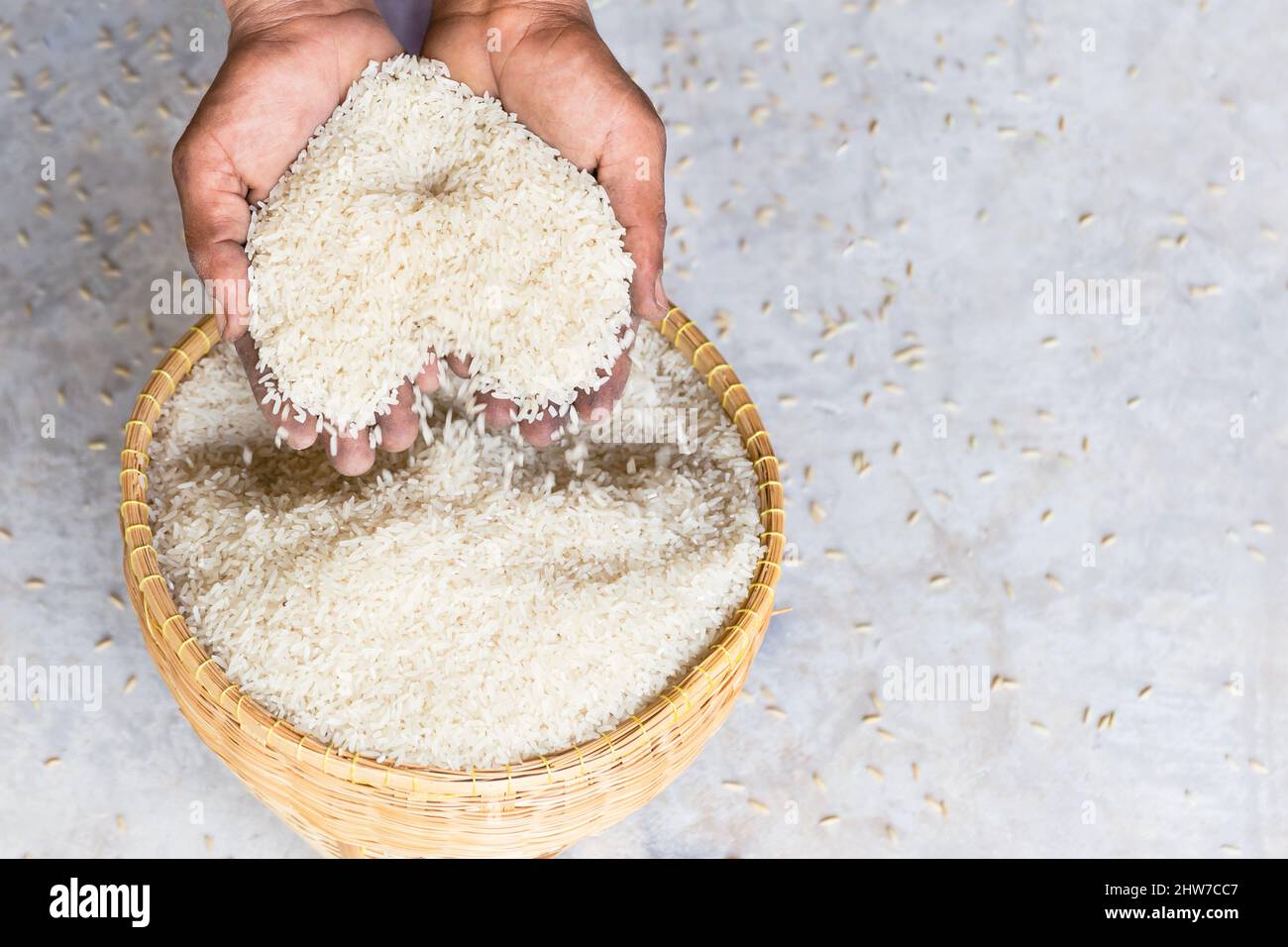 Primo piano su grano di riso bianco gelsomino crudo in mano di agricoltura. Foto Stock