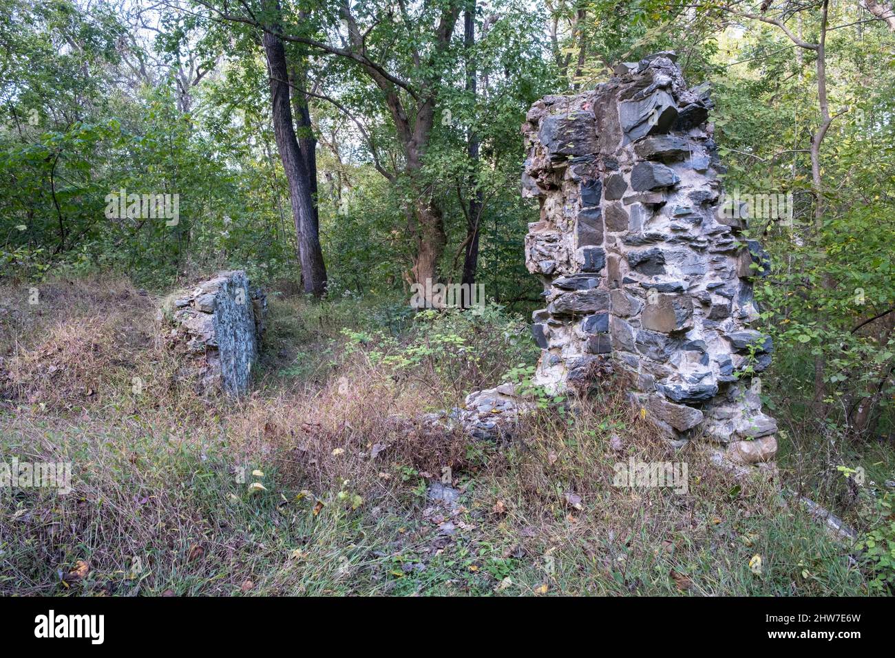 Virginia. Great Falls Park. I resti della Casa del Soprintendente del canale, Matildaville, che declinò dopo che il canale cessò di operare nel 1830. Foto Stock