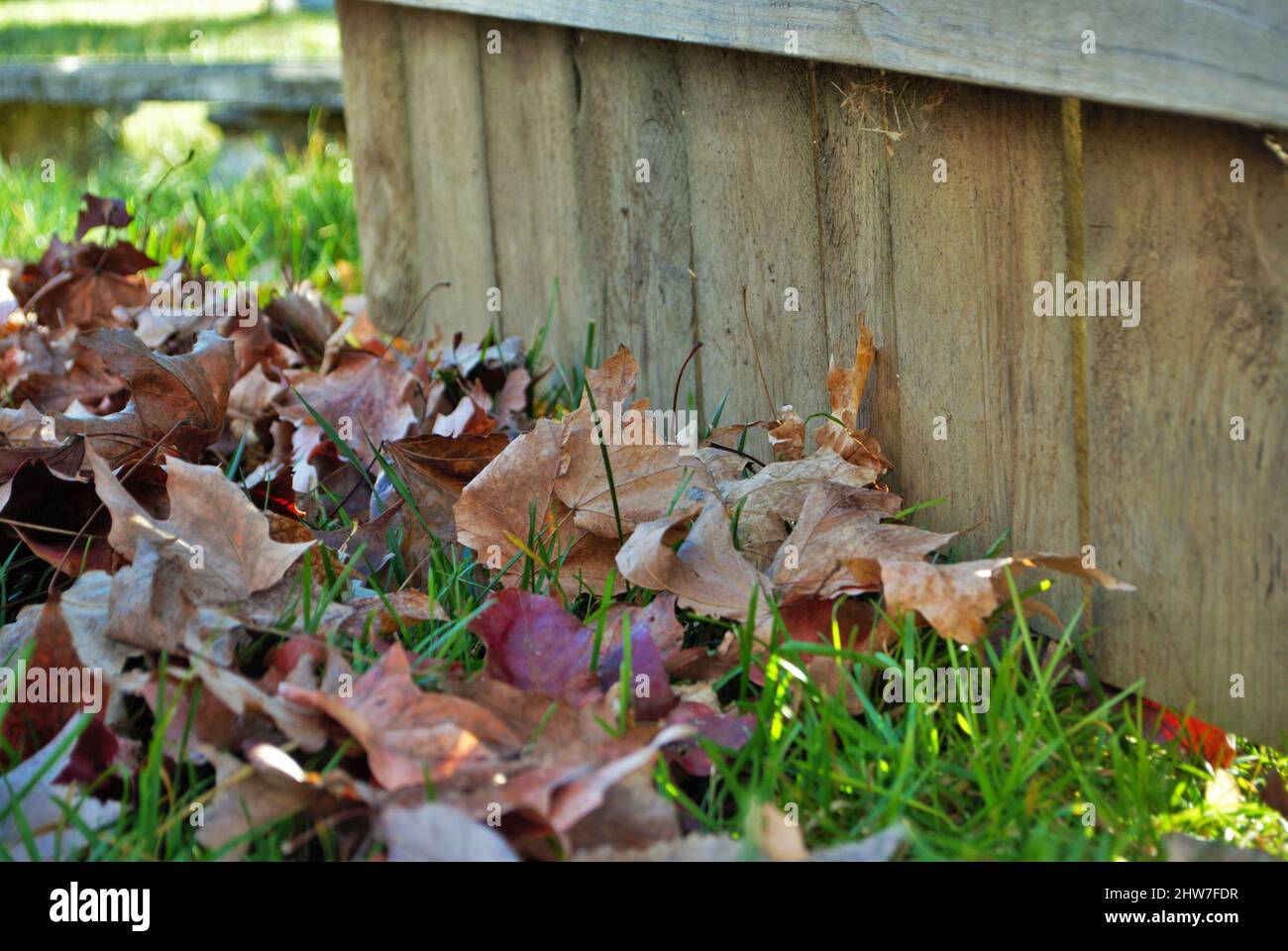 Mucchio di foglie e un rastrello appoggiato contro una recinzione autunno sfondo Foto Stock