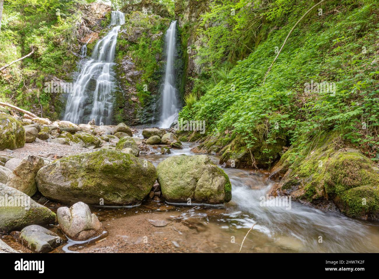 Bella cascata fresca di montagna in una valle selvaggia e isolata in primavera. Francia. Foto Stock