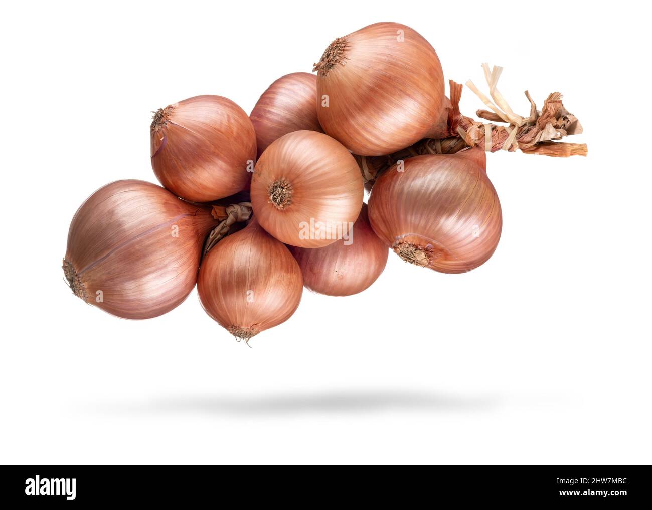 Mazzo di cipolla gialla isolato su sfondo bianco Foto Stock