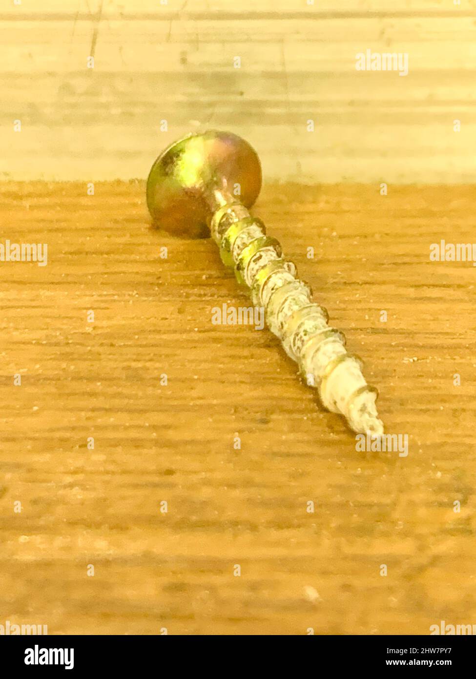 Metallo color oro avvitare su un banco di legno da vicino. Foto di alta qualità Foto Stock