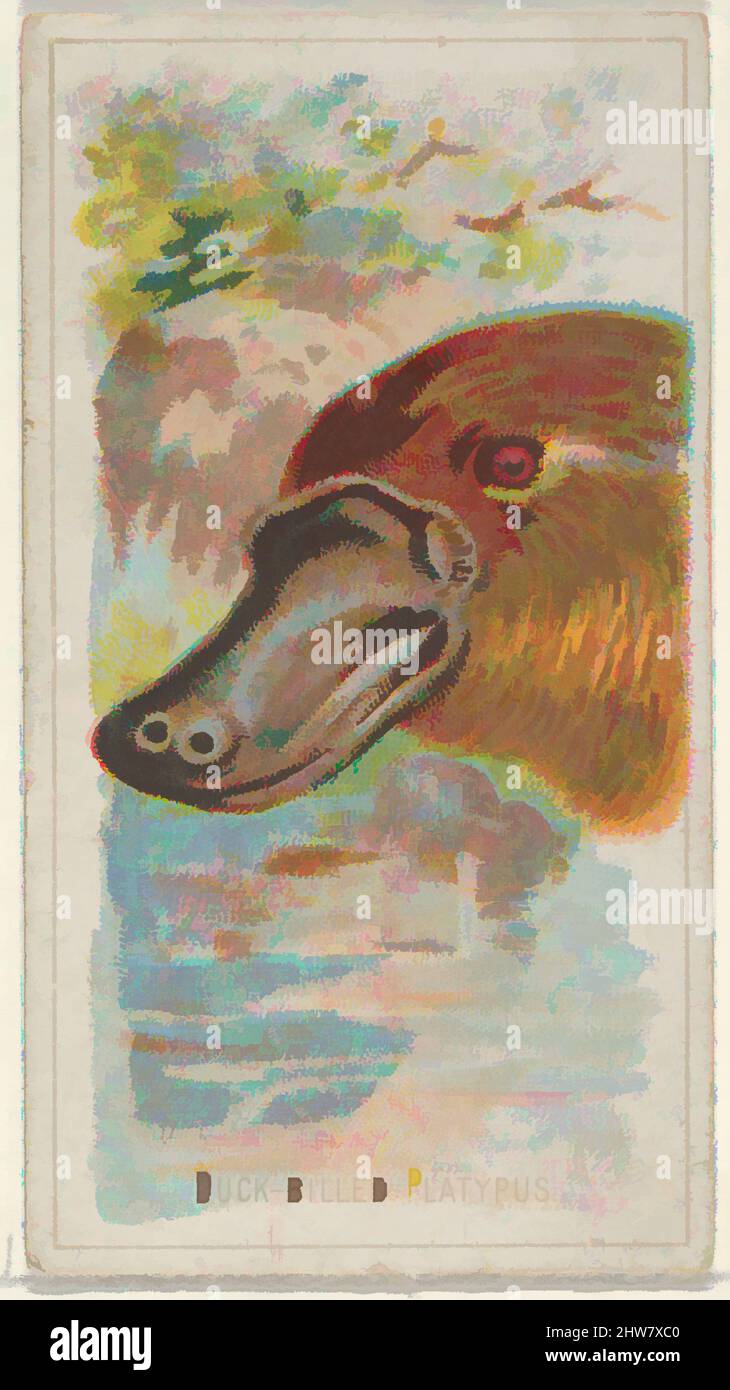 Arte ispirata da Platypus con fattura di anatra, dalla serie Wild Animals of the World (N25) per sigarette Allen & Ginter, 1888, litografia commerciale a colori, foglio: 2 3/4 x 1 1/2 pollici. (7 x 3,8 cm), carte commerciali della serie 'Wild Animals of the World' (N25), pubblicata nel 1888 in un set di 50, opere classiche modernizzate da Artotop con un tuffo di modernità. Forme, colore e valore, impatto visivo accattivante sulle emozioni artistiche attraverso la libertà delle opere d'arte in modo contemporaneo. Un messaggio senza tempo che persegue una nuova direzione selvaggiamente creativa. Artisti che si rivolgono al supporto digitale e creano l'NFT Artotop Foto Stock