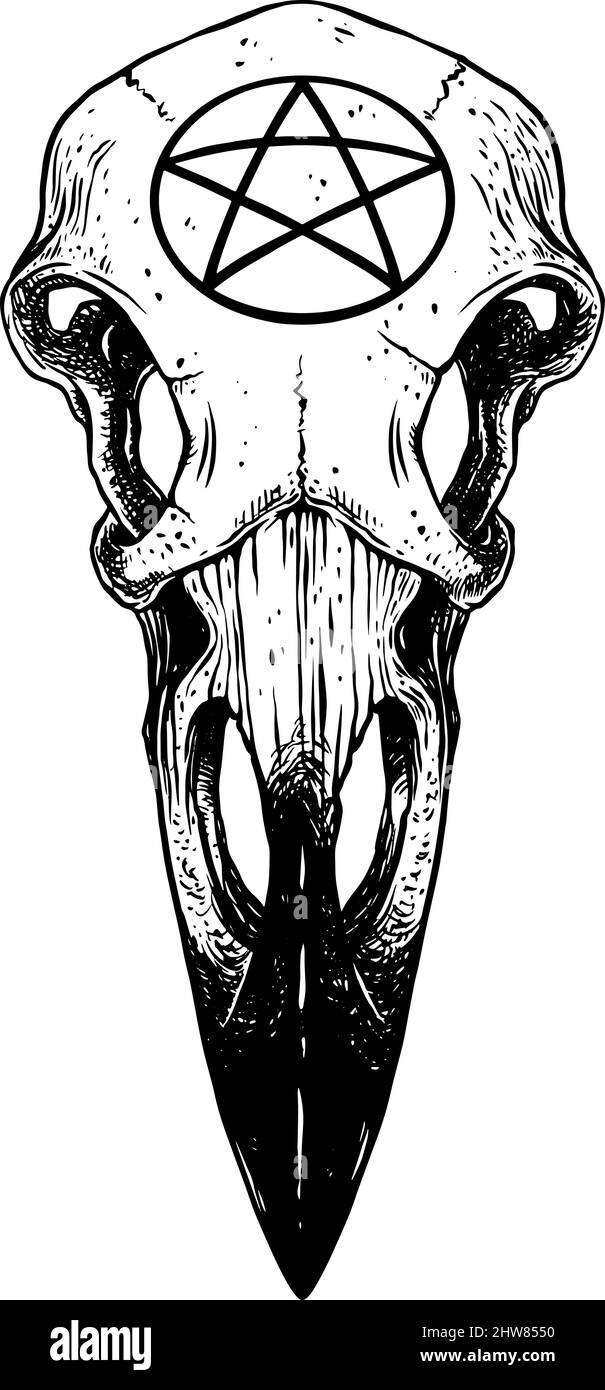 cranio raven con pentagramma. illustrazione vettoriale Illustrazione Vettoriale