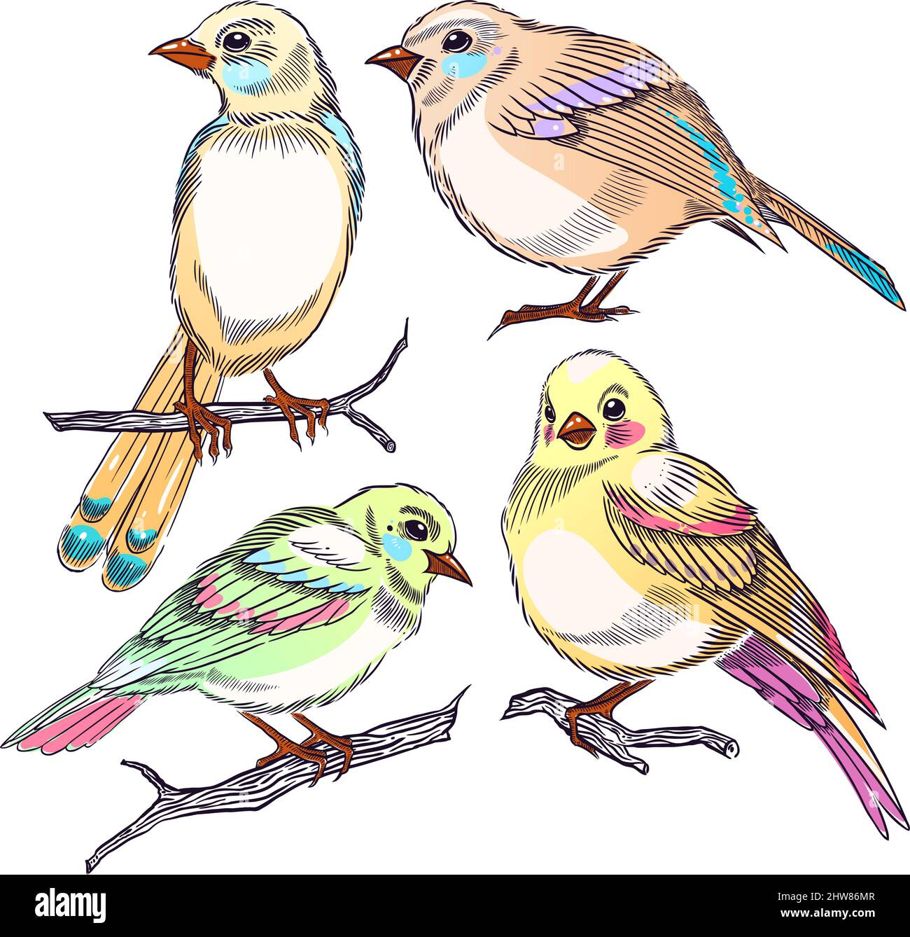 set carino di diversi uccelli colorati. illustrazione disegnata a mano Illustrazione Vettoriale