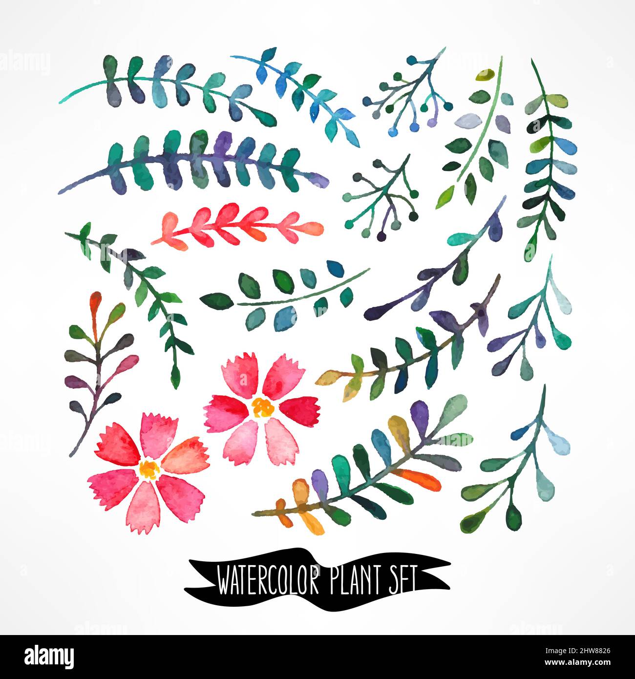 Vettore acquerello con foglie e fiori. Illustrazione disegnata a mano Illustrazione Vettoriale