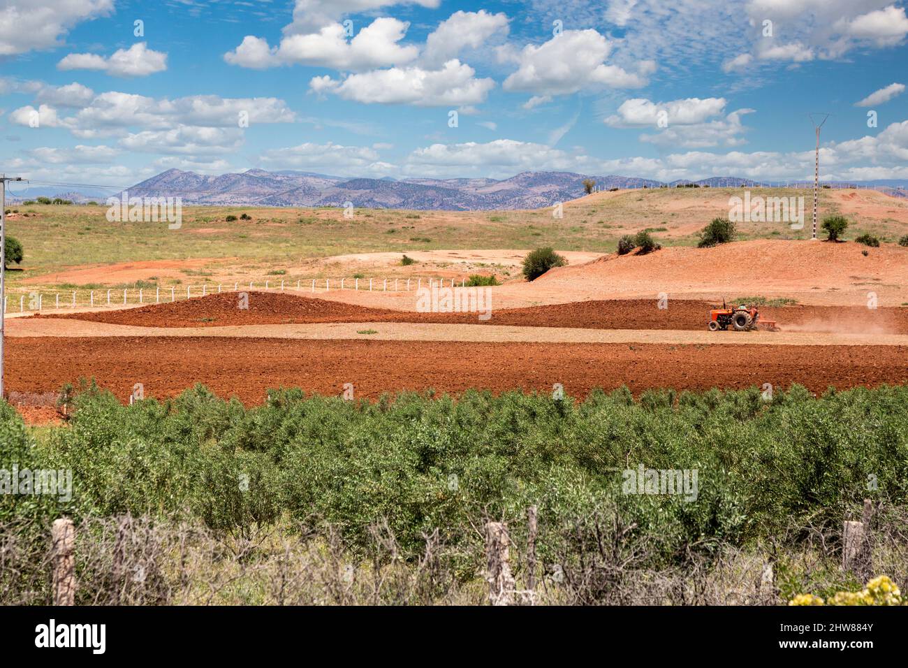 Nei pressi di Azrou, Marocco. Trattore Campo di aratura. Foto Stock
