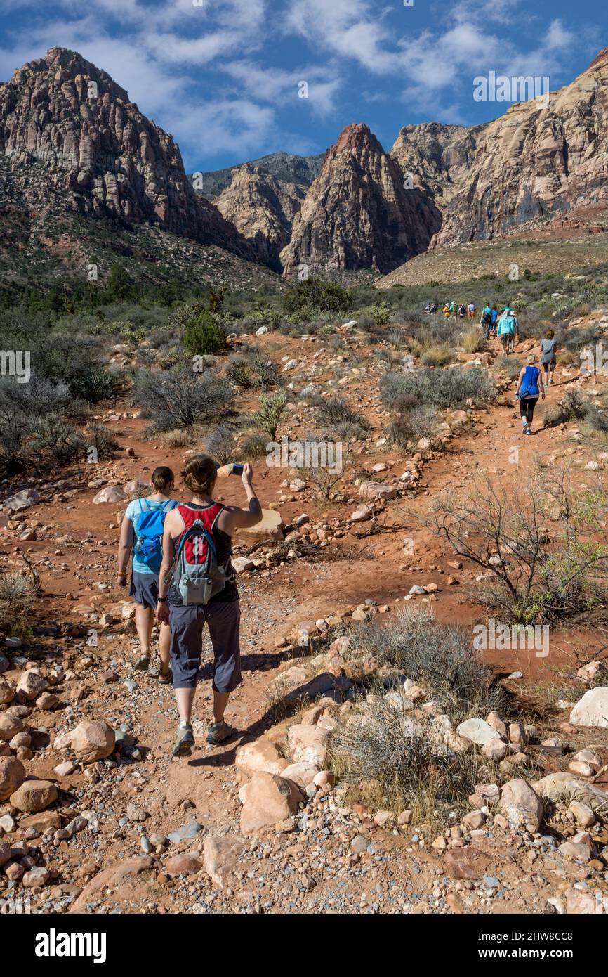 Il Red Rock Canyon, Nevada. Gli escursionisti su Pine Creek Canyon Trail. Mescalito Montagna (con parte superiore rossa) al centro dello sfondo. Foto Stock
