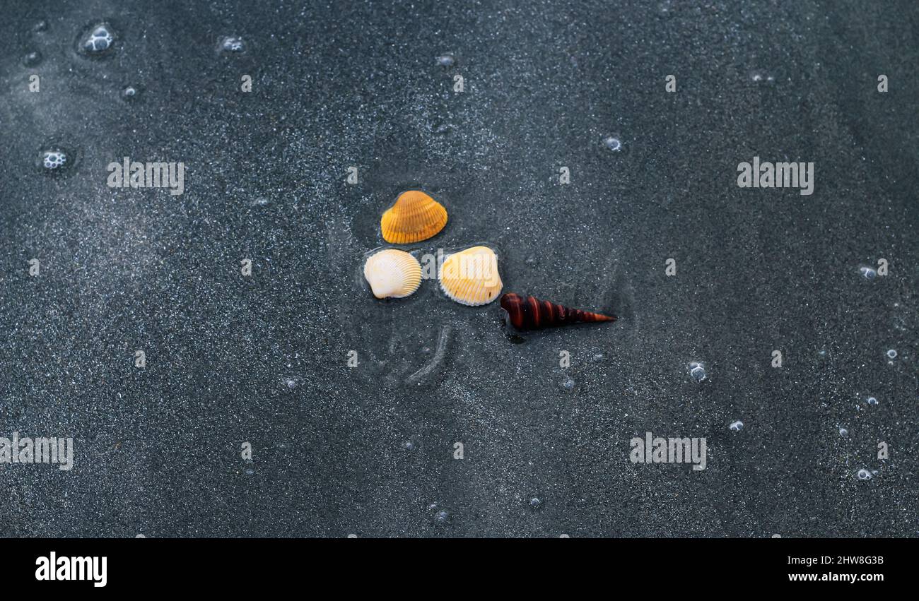 Abbozzo Di Arte Del Tatuaggio, Testa Indiana Illustrazione Di Stock - Foto 6