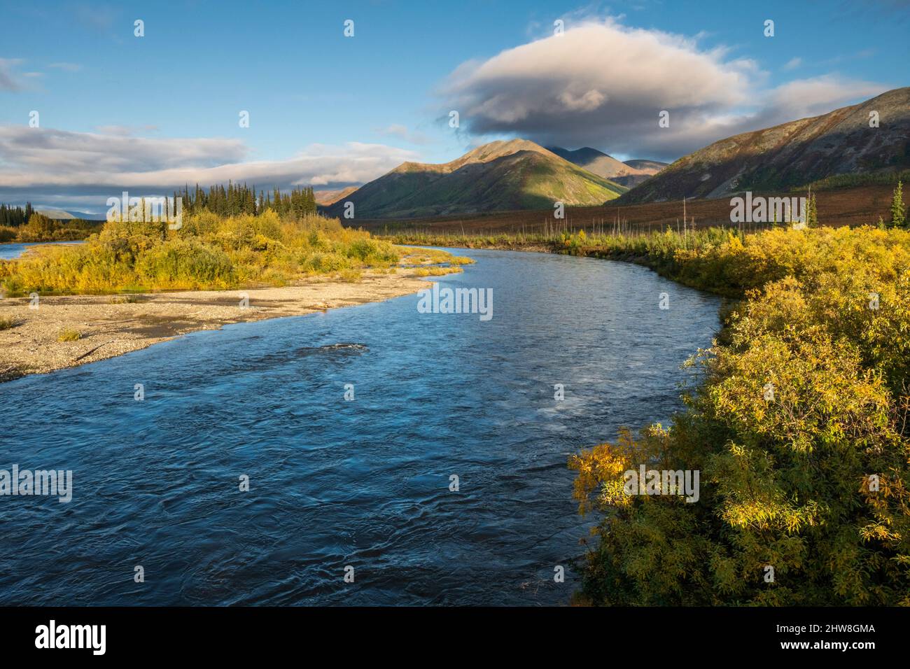 Nord America; Stati Uniti; Alaska; Arctic Circle; Brooks Range Mountains; Autunno; fiume Koyukuk, forchetta sud, Foto Stock