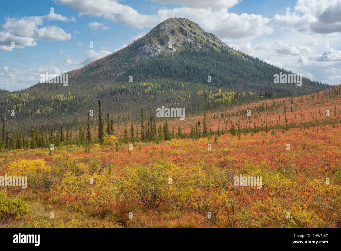 Nord America; Stati Uniti; Alaska; Arctic Circle; Brooks Range Mountains; Autunno; Foto Stock