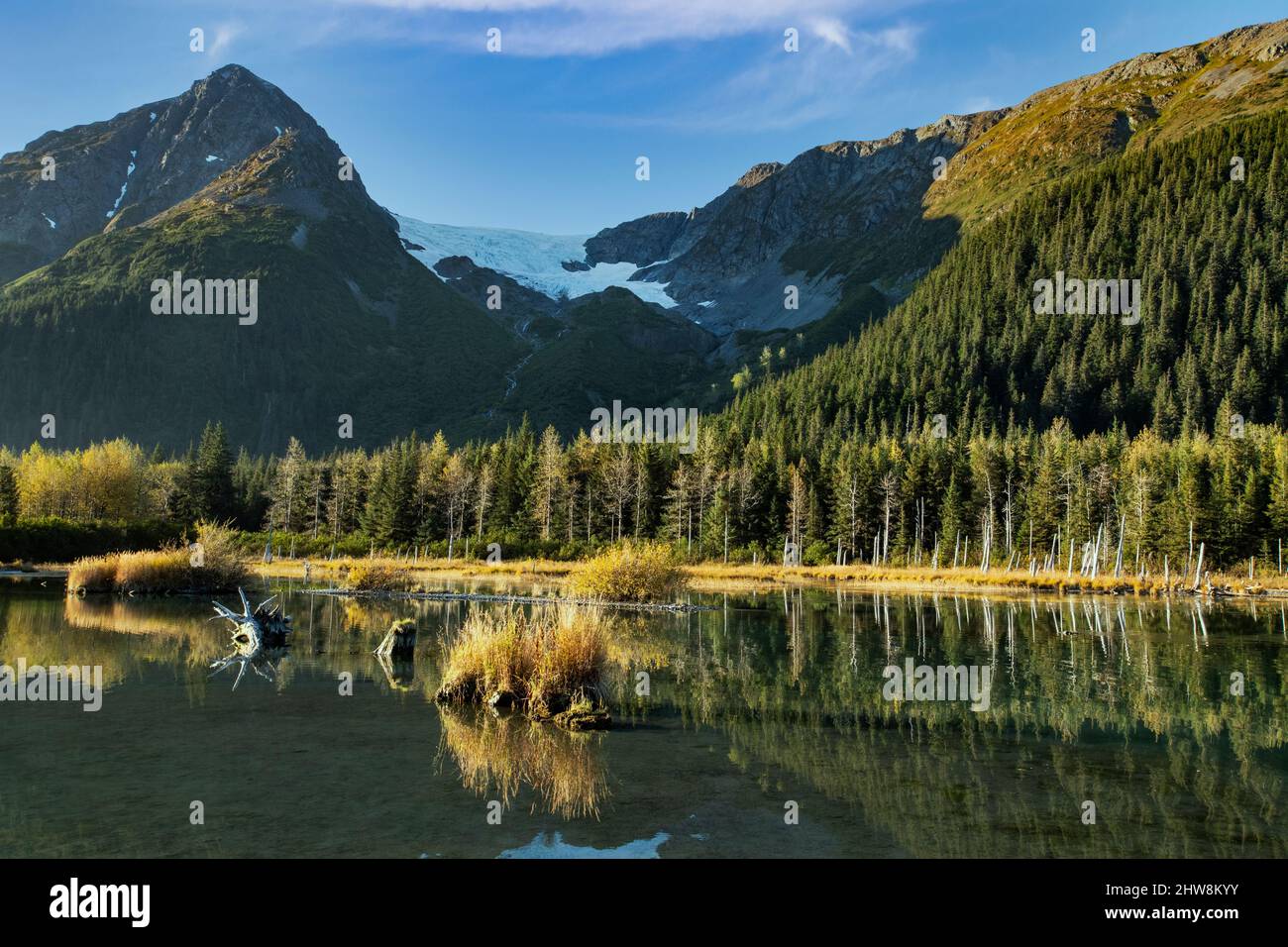 Nord America; Stati Uniti; Chugach Range Mountains; Portage Valley; colore autunnale; Riflessione mattutina Foto Stock