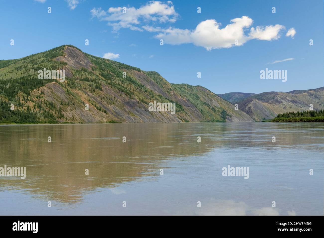 Nord America; Stati Uniti; Alaska; Yukon-Chasty Rivers National Preserve; Biederman Bluff:, 1191'; Yukon River (mezzo miglio di larghezza); inizio autunno. Foto Stock