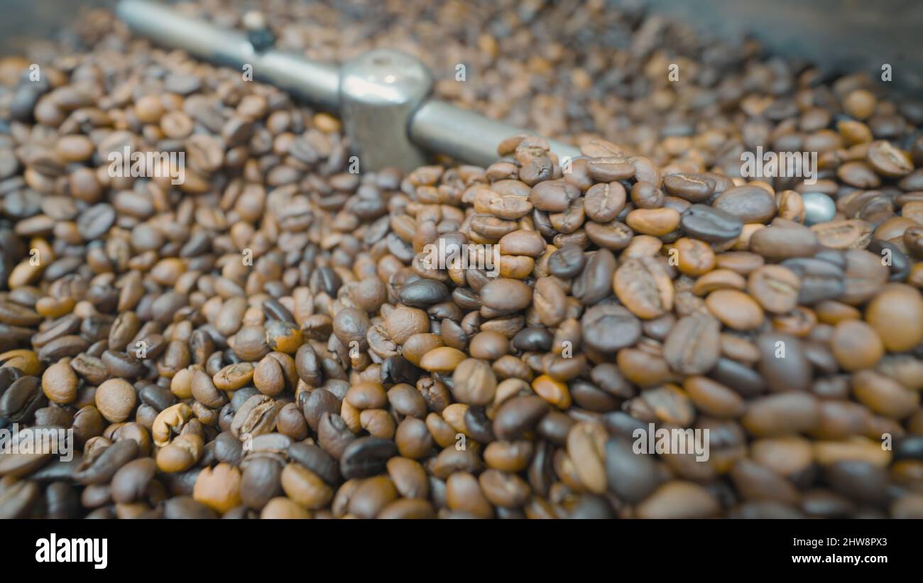 Primo piano dei chicchi di caffè mescolati e tostati. Azione. La macchina speciale mescola i chicchi di caffè per la lavorazione termica. Tostatura del caffè in macchina. Foto Stock