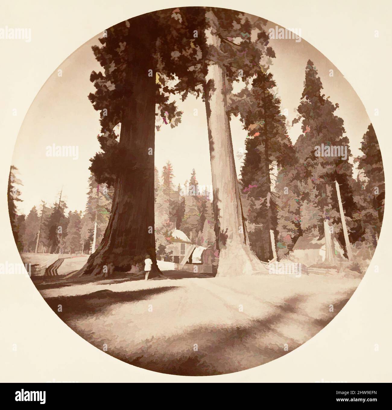 Arte ispirata alle Sentinelle - Calaveras Grove, ca. 1878, stampa argento albume da vetro negativo, immagine: 12,5 x 12,5 cm (4 15/16 x 4 15/16 poll.), circolare, fotografie, Carleton E. Watkins (americano, 1829–1916), questo album senza titolo eccezionalmente raro presenta settantatre opere classiche circolari modernizzate da Artotop con un tuffo di modernità. Forme, colore e valore, impatto visivo accattivante sulle emozioni artistiche attraverso la libertà delle opere d'arte in modo contemporaneo. Un messaggio senza tempo che persegue una nuova direzione selvaggiamente creativa. Artisti che si rivolgono al supporto digitale e creano l'NFT Artotop Foto Stock