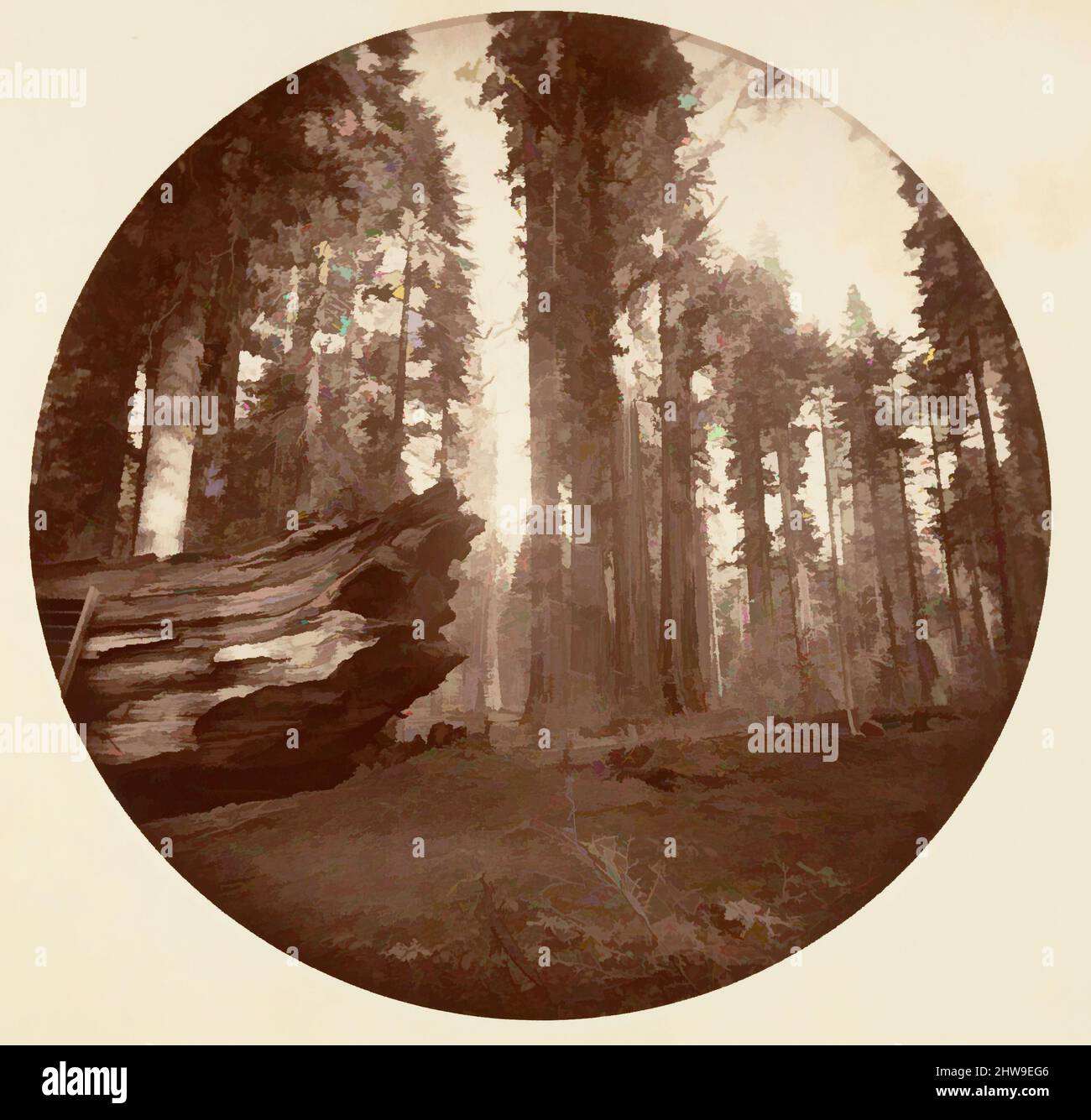 Arte ispirata dalla Madre della Foresta dal Padre della Foresta - Calavaras Grove, ca. 1878, stampa in argento albume da vetro negativo, immagine: 12,5 x 12,5 cm (4 15/16 x 4 15/16 poll.), circolare, fotografie, Carleton E. Watkins (americano, 1829–1916), questo eccezionalmente raro, opere classiche modernizzate da Artotop con un tuffo di modernità. Forme, colore e valore, impatto visivo accattivante sulle emozioni artistiche attraverso la libertà delle opere d'arte in modo contemporaneo. Un messaggio senza tempo che persegue una nuova direzione selvaggiamente creativa. Artisti che si rivolgono al supporto digitale e creano l'NFT Artotop Foto Stock